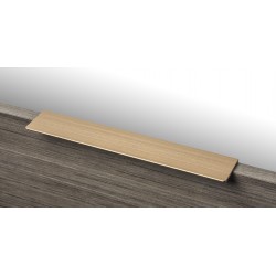 Cabinet Handle (L806-256BG)